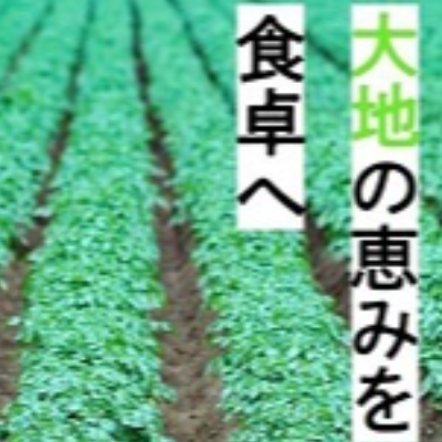 丸進青果（愛知県）ロゴ